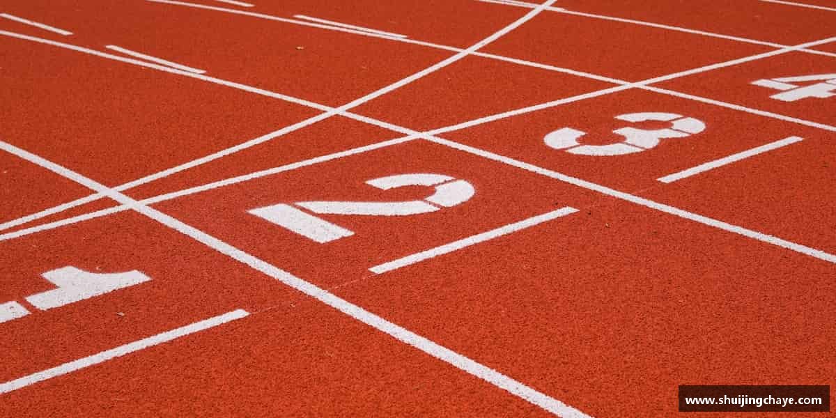 认识球王会体育